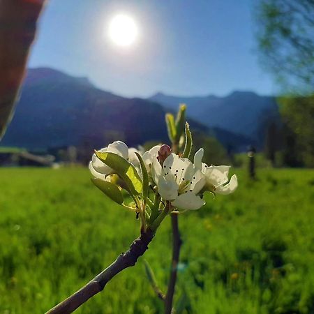 Pulvererhof Achenkirch Eksteriør bilde