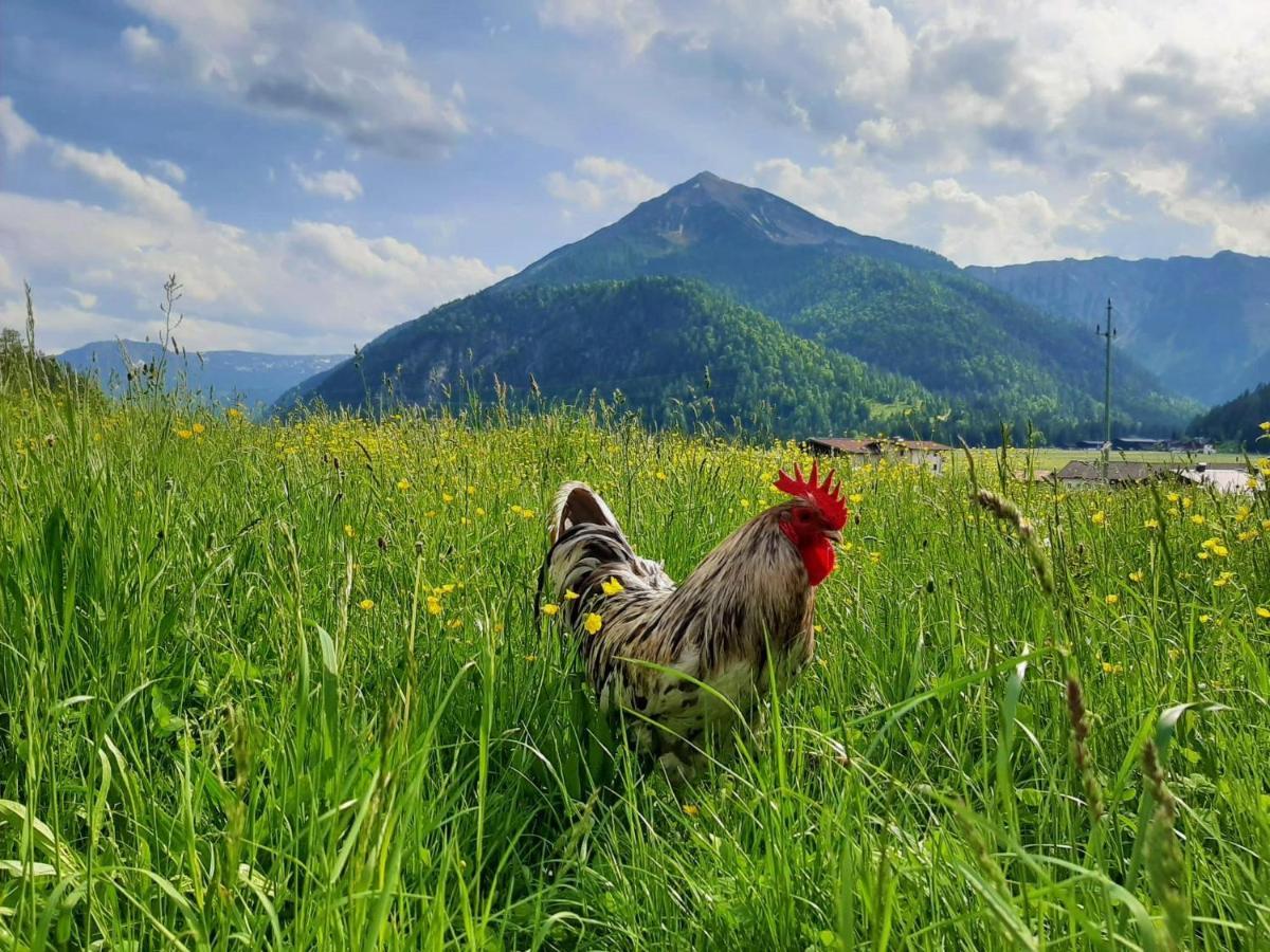 Pulvererhof Achenkirch Eksteriør bilde