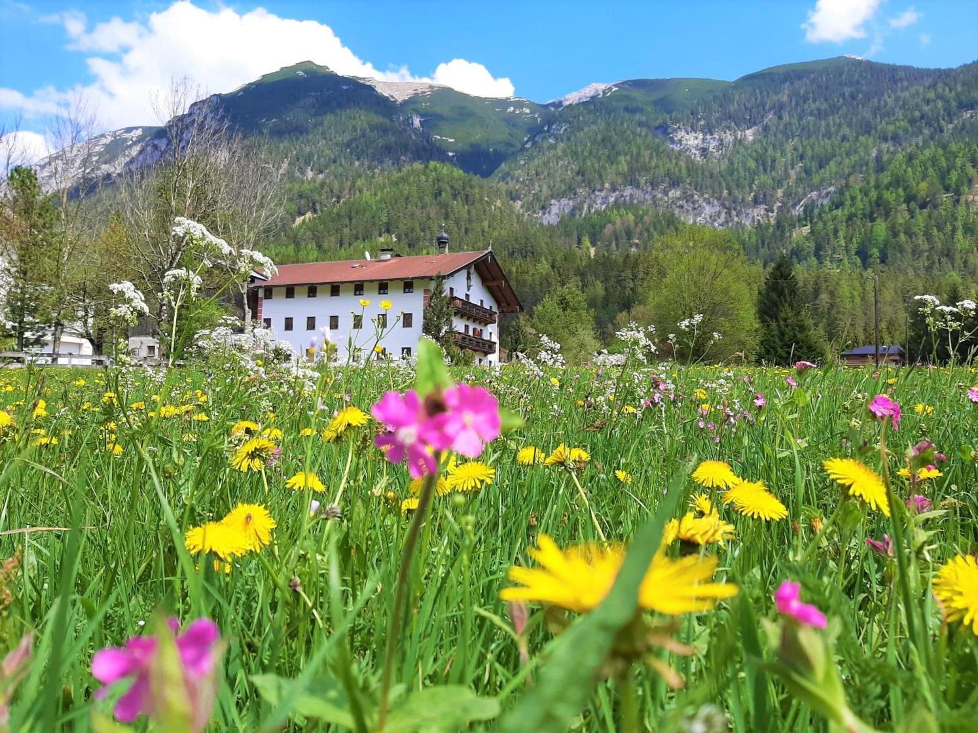 Pulvererhof Achenkirch Eksteriør bilde