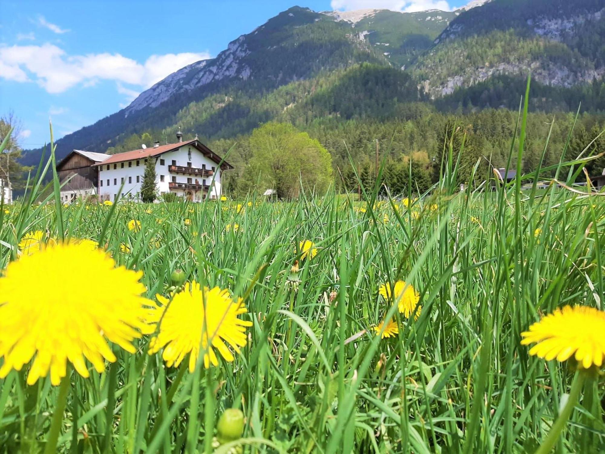 Pulvererhof Achenkirch Eksteriør bilde